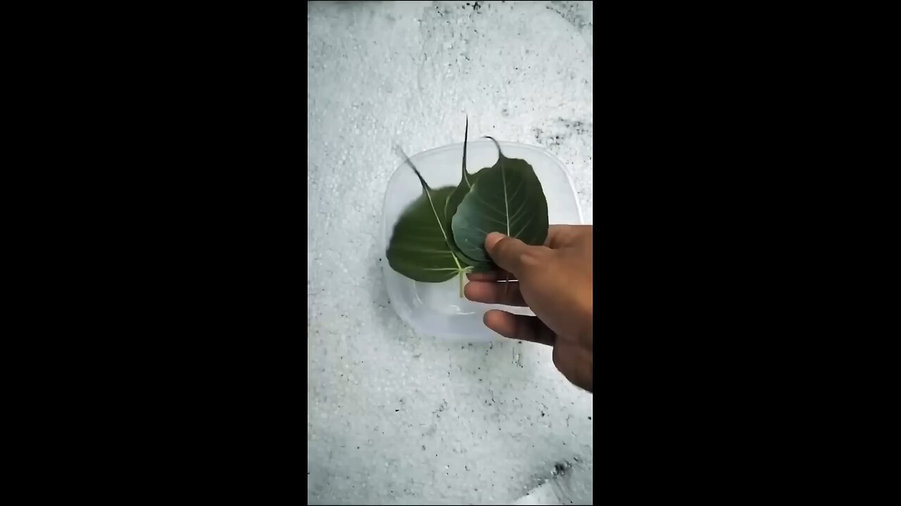 Handcraft items at home