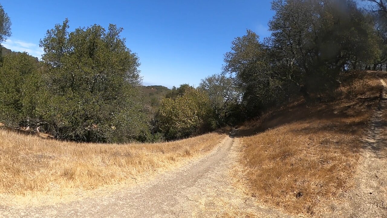 Spengler Trail and Blue Oak Trail Junction