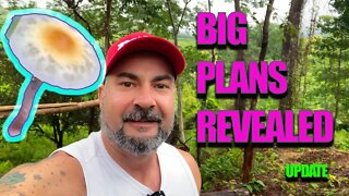 BIG MAGIC MUSHROOM GROWING PLANS REVEALED😎 (Plus foraging 🤘)