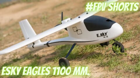 A Quick FPV Flight with the Esky Eagles (HobbyZone Aeroscout)
