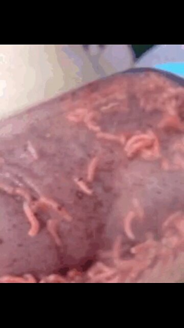 INVASION OF CHINESE ILLEGALS COMING ACROSS OUR BORDERS