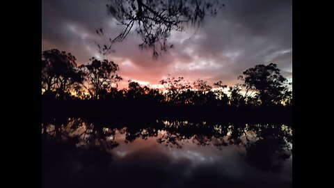 Kayaking trip on the Upper Noosa River