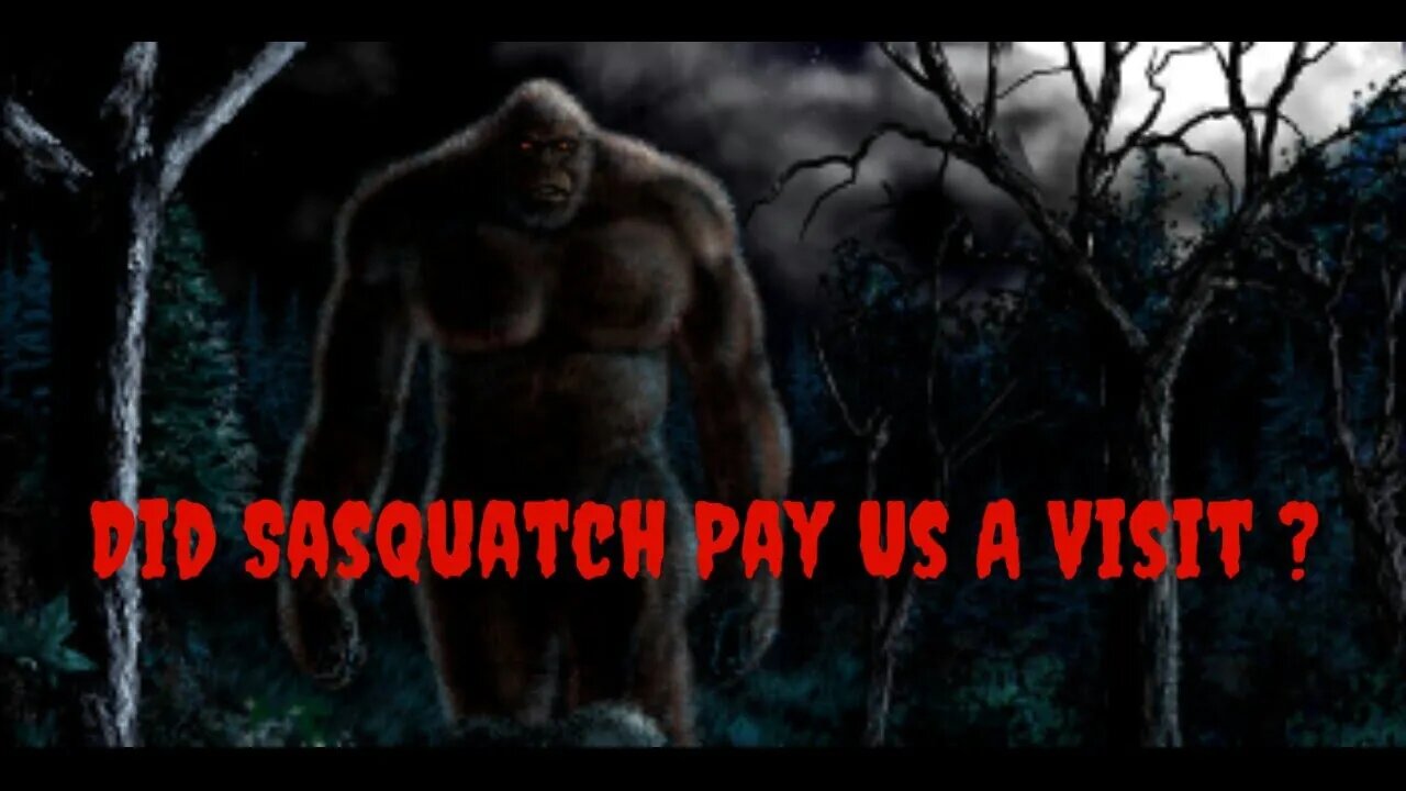 Did Sasquatch Pay Us A Visit ???