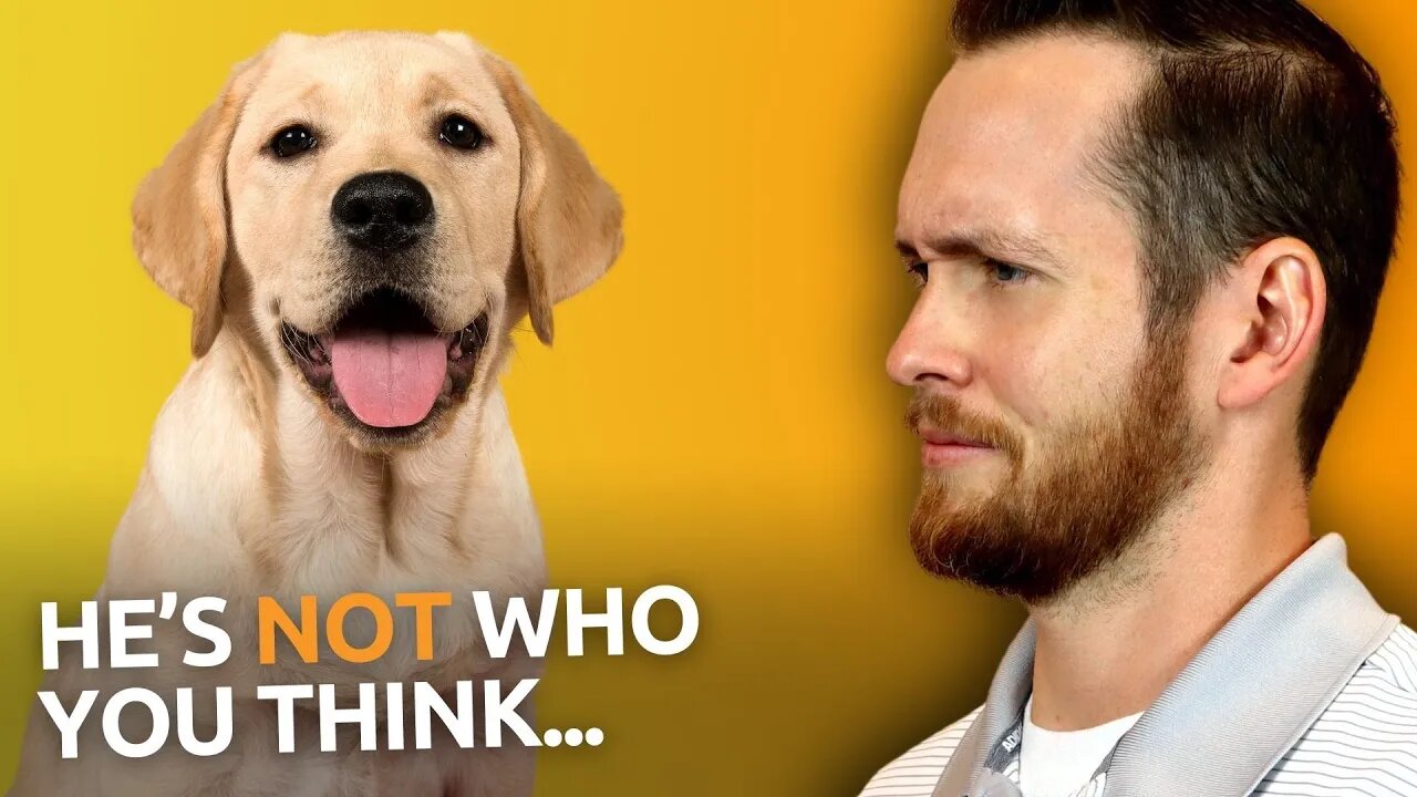 New Research Will Change How You See Your Dog