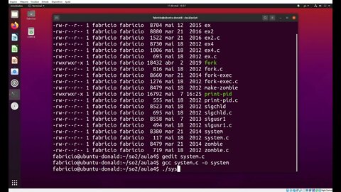 system.c - A Chamada de sistema system() executando o shell padrão e lhe passando um comando