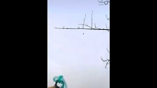 28 de março de 2022