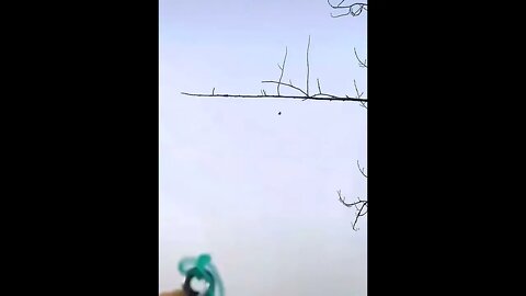 28 de março de 2022