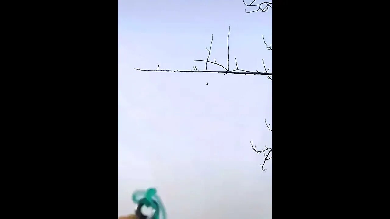 28 de março de 2022