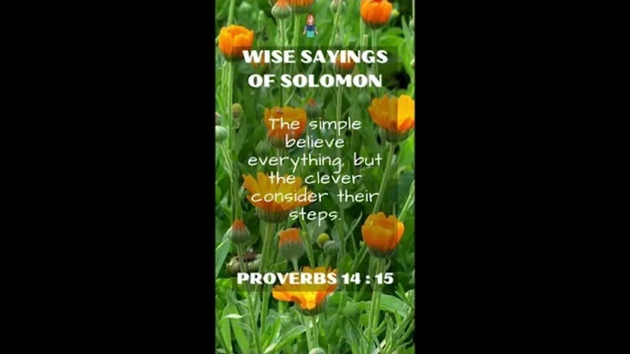 Proverbs 14:15 | NRSV Bible | Wise Sayings of Solomon