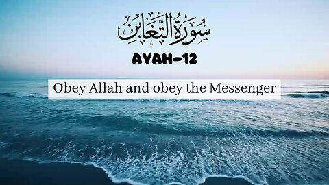 Holy Qur'an.Recotation of Surah At-Taghabun,Ayah-12💕