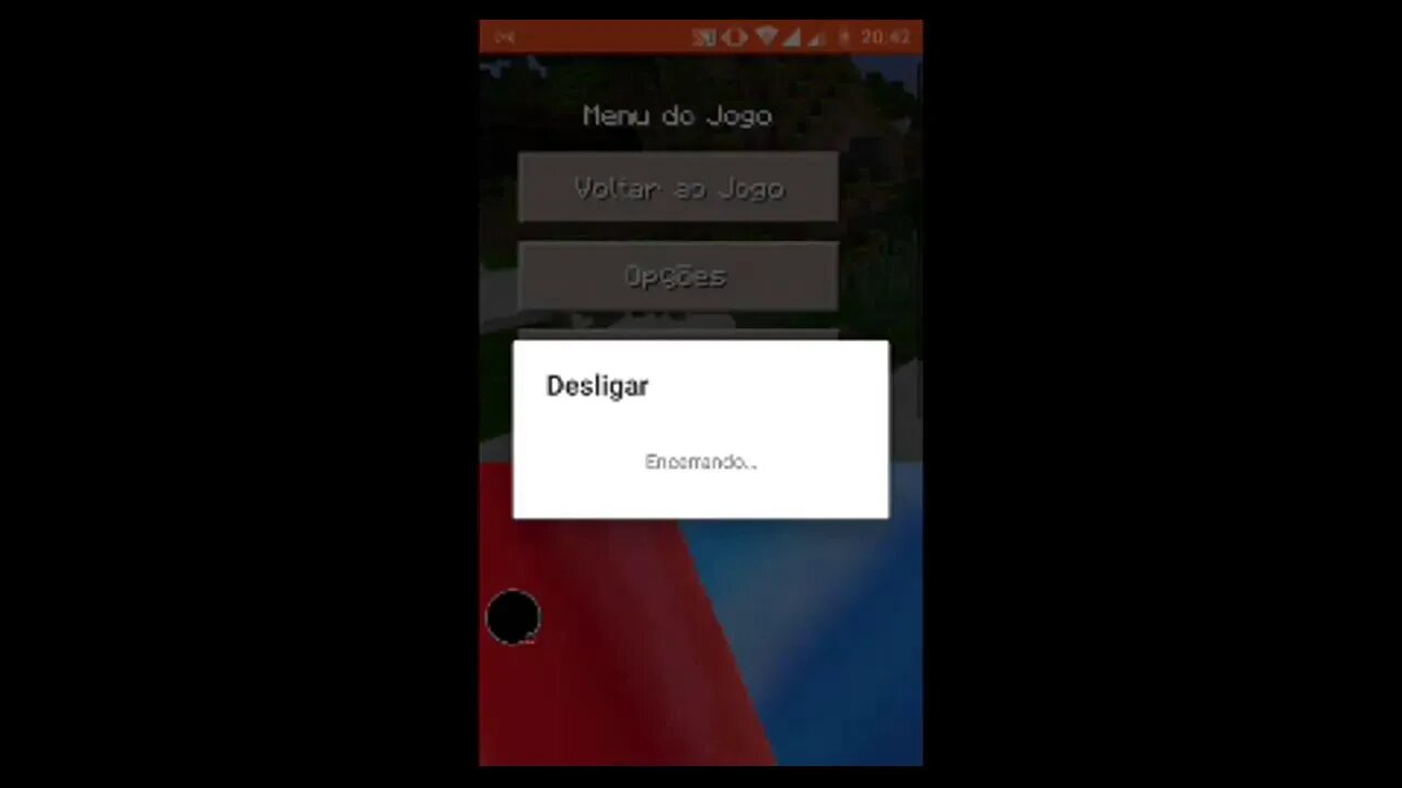 LIVEZINHA RILEEEX DE MINECRAFT | BODYFITLIONS