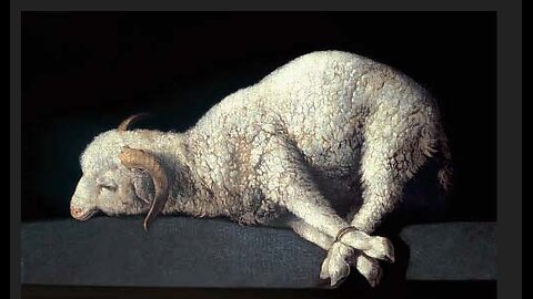 The Sacrifice Lamb