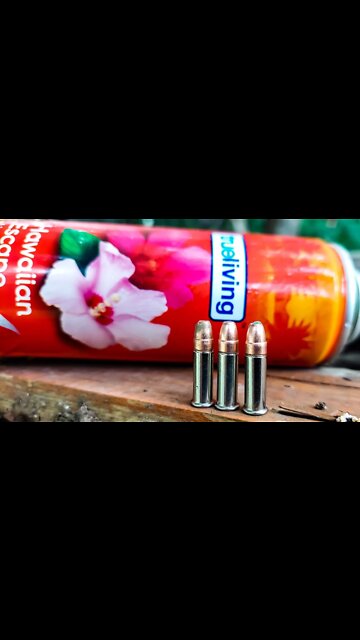 World's BEST Air Freshener 🌼🌸🌻 #shorts