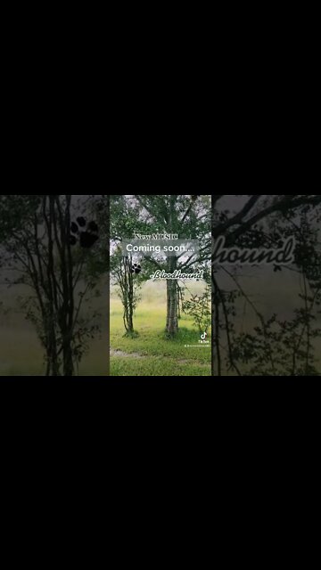 New Music #rap #Music