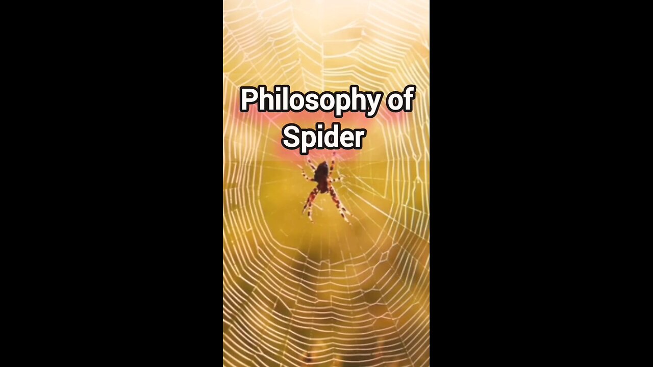 ✨Philosophy of Spider🕷️ #viral #motivation #reels #trending #sriharnikhil #chittbhumi #skills