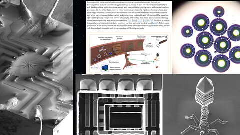 Freaky Close-ups Of State-of-the-Art Pegylated MB's and Polymeric MOF Sructured Entities?