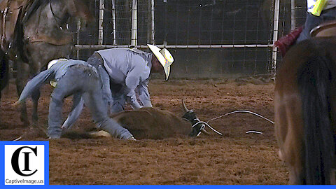 Stray Gathering - 2021 Fort Sumner WRCA Ranch Rodeo | Friday