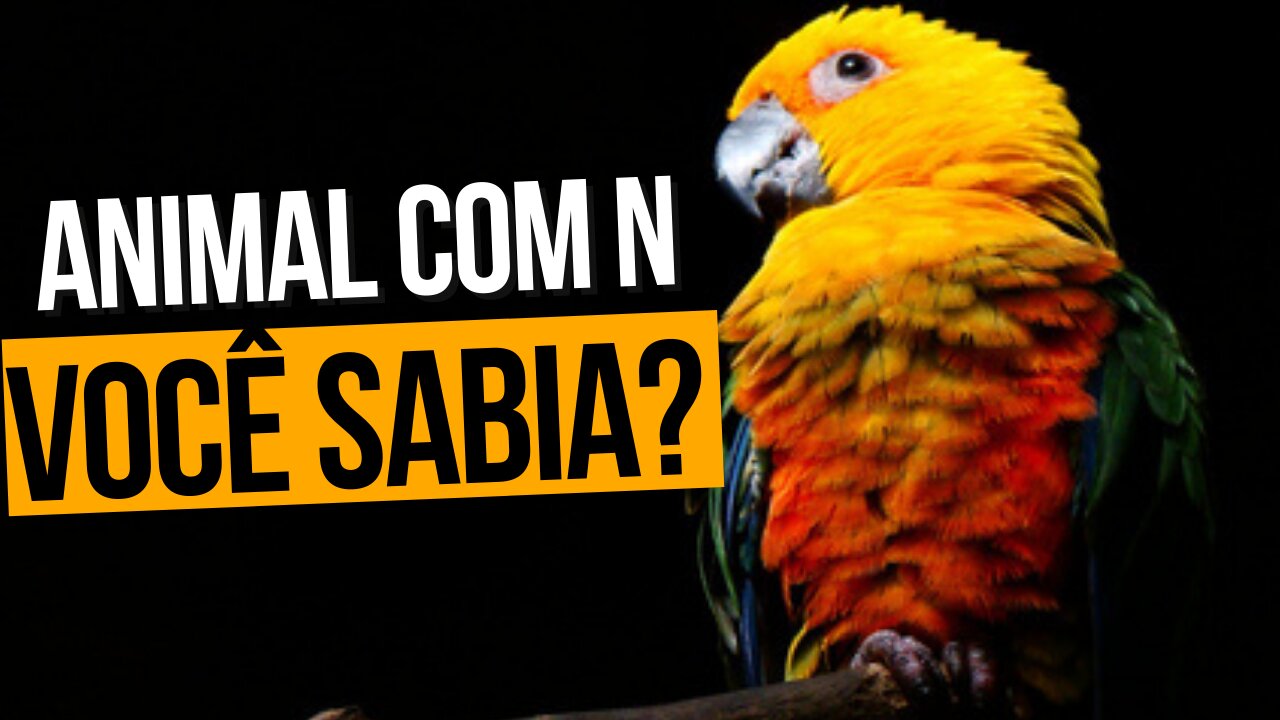 7 Animais com N - VOCÊ SABIA? (Poucos Conhecem)