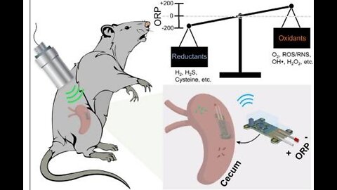 Digital Microbiome News: 11/21/2023