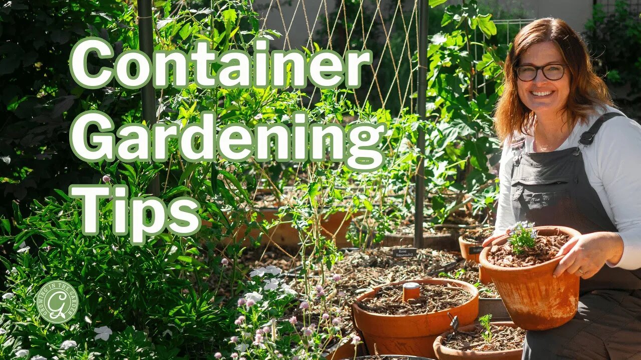 Master Container Gardening with These Tips