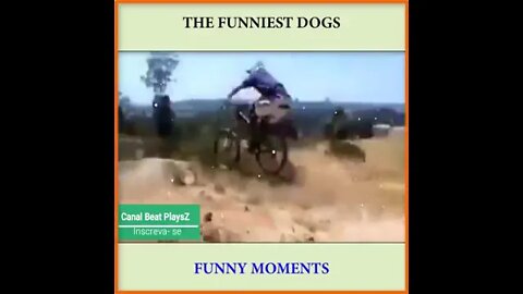 Fonny video for dogs🤣🐕