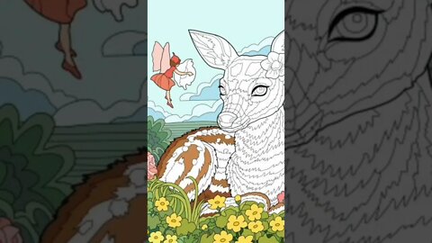 Here is a doe