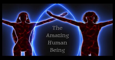 The Amazing Human Body