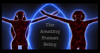 The Amazing Human Body