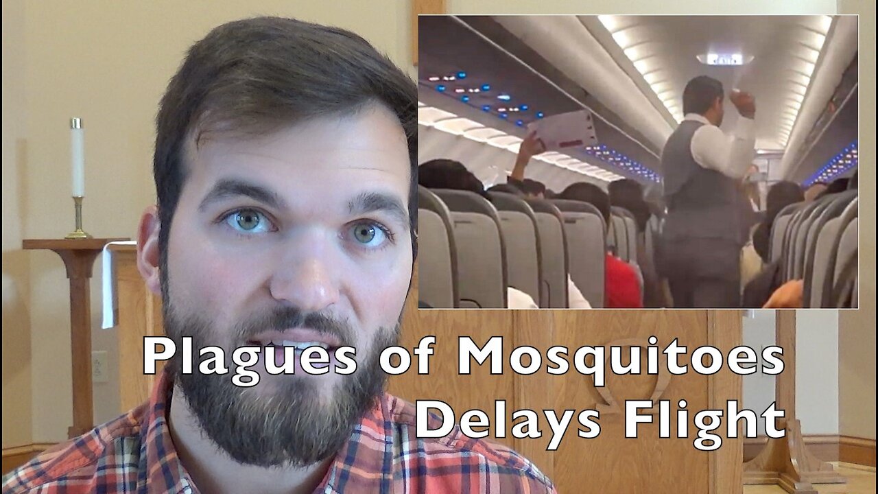 Plague Of Mosquitoes Delays Flight