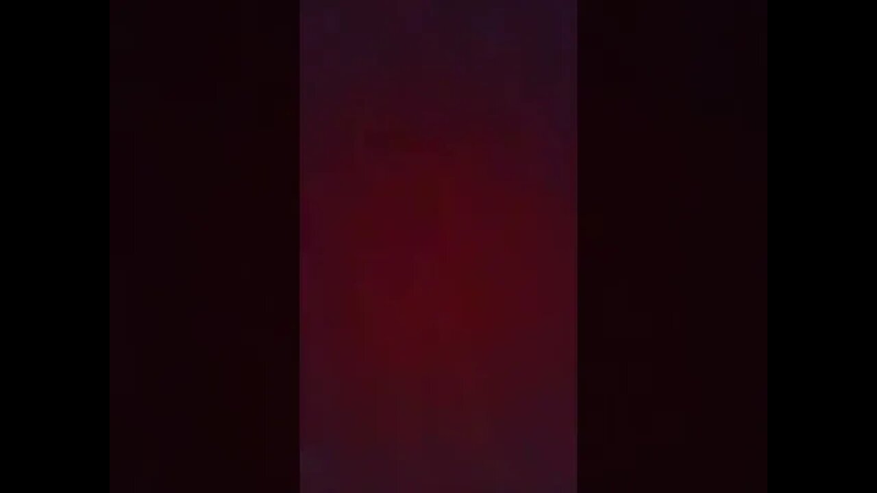Donkey murders Lies and deception .