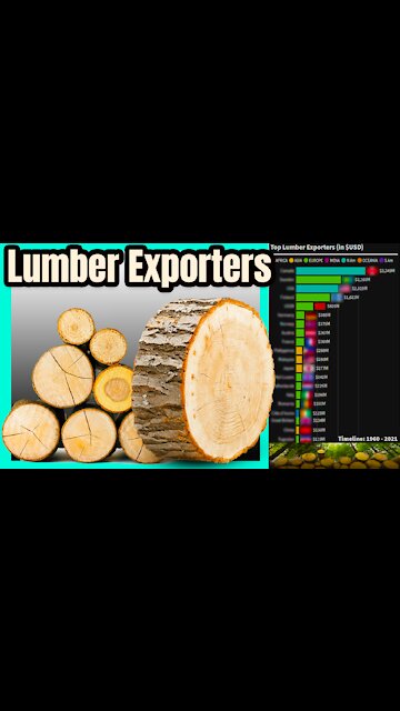 World's Top LUMBER Exporters 🌲📊