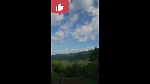Most Satisfying Video Must watch full