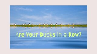 Are Your Ducks in a Row?