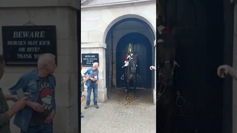 drunk man bumps into horse queen's guard shouts get back #horseguardsparade