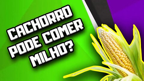 Cachorro pode comer Milho? | Dr. Edgard Gomes | Alimentação natural para Cães