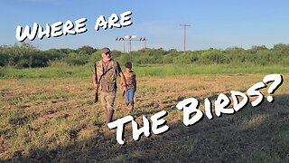 Back at the No9 and time for a dove hunt