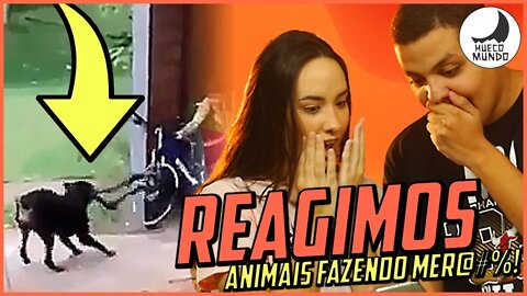 Reagindo a animais fazendo Merd#%!! | #HuecoMundo1K