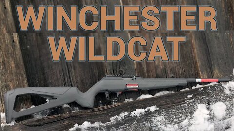 Winchester Wildcat Brings Polymer Rimfires into the Modern Era