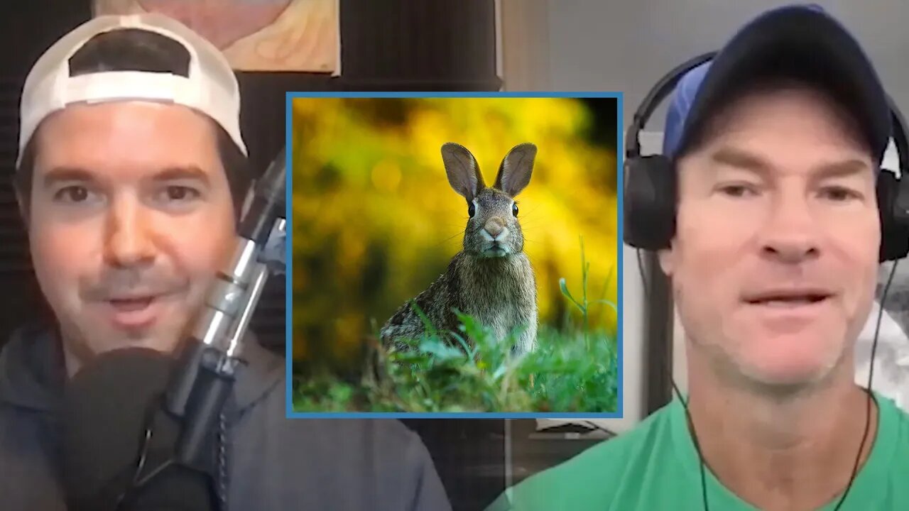 Does a Carnivore Diet or Vegan Diet Kill More Animals? | Dr. Shawn Baker