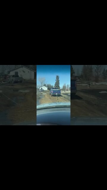 Towing el capo while I’m steering it #shorts