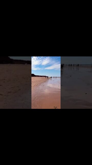 Tall cliffs in Thundercove