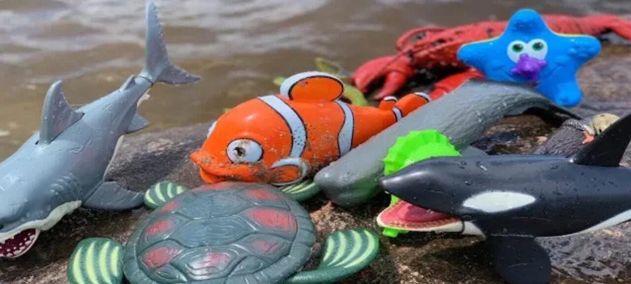 Sea Animal Toys This Summer at the Shore 🌊🐠🦞🐬🦑