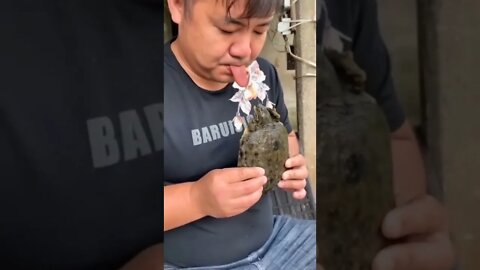 tartaruga mordeu a língua 😱😱😱
