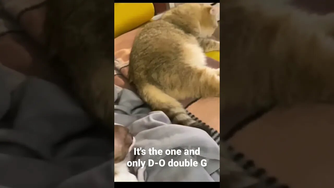 It's the one and only D-O double G #shorts