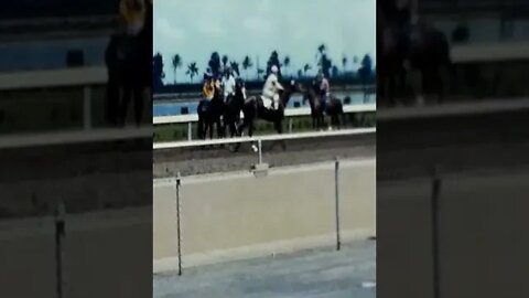 Horse Racing in Florida 1957 #shorts