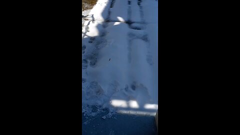 Ice Oak Ridge Tennessee