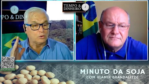 Milho escasso e valorizado