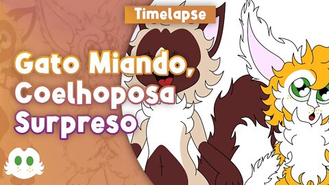 Gato Miando, Coelhoposa Surpreso [Timelapse]