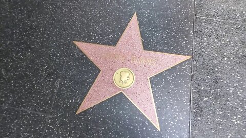 FRANK SINATRA STAR DEDICATED TO THE STAR 🌟 OF NIVA