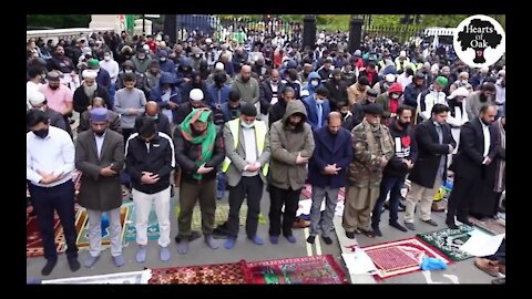 Muslim Demo outside the French Embassy 30.10.20